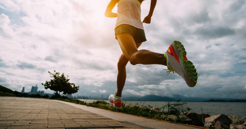 Corri corri metabolismo