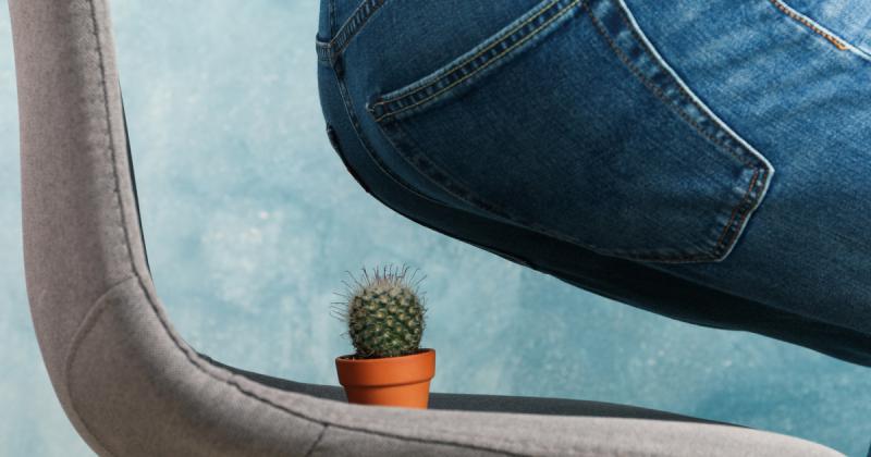 Emorroidi, le strategie di intervento nutrizionale